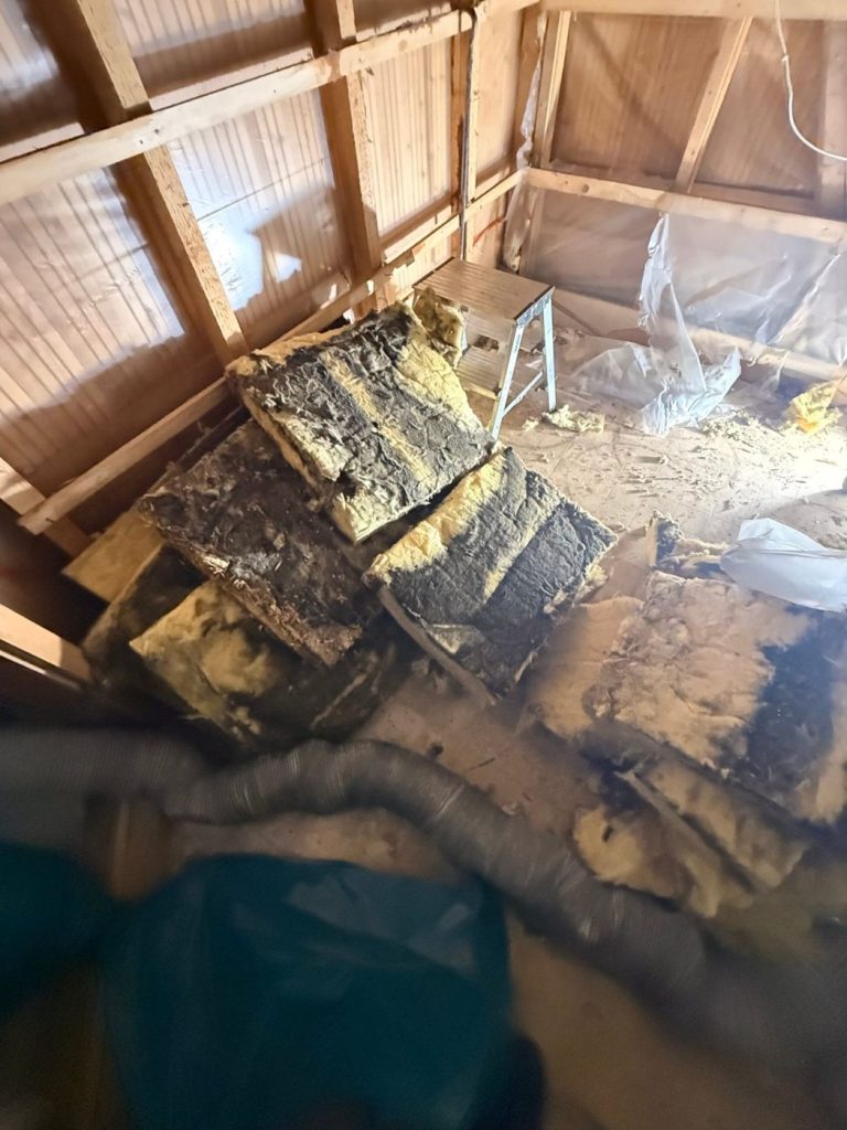 Rückbau belasteter Mineralwolle-Dämmung (KMF)